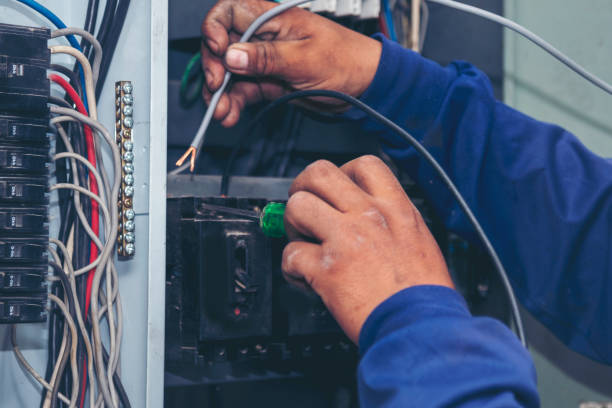 Best Electric Panel Repair  in Caseyvle, IL