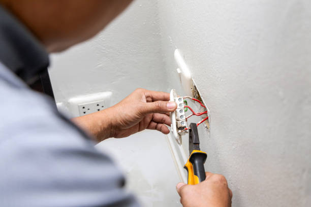 Best Electrical Repair Services  in Caseyvle, IL