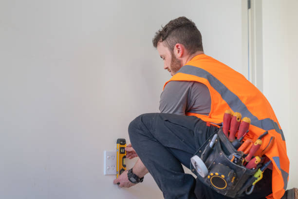 Best Affordable Electrician  in Caseyvle, IL